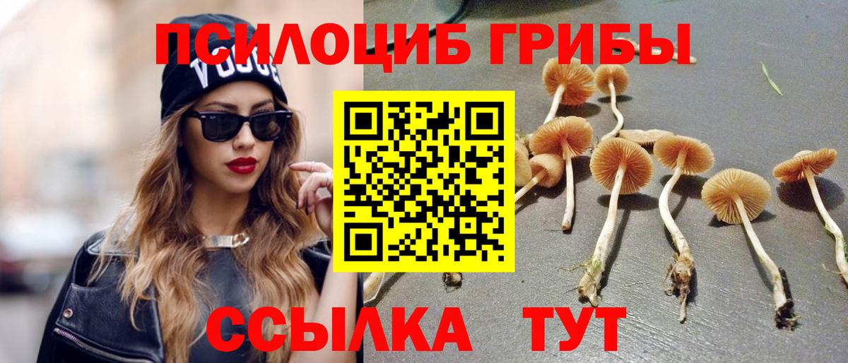 Воткинск  Галлюциногенные грибы мухоморы  купить закладку  Вход с VPN 